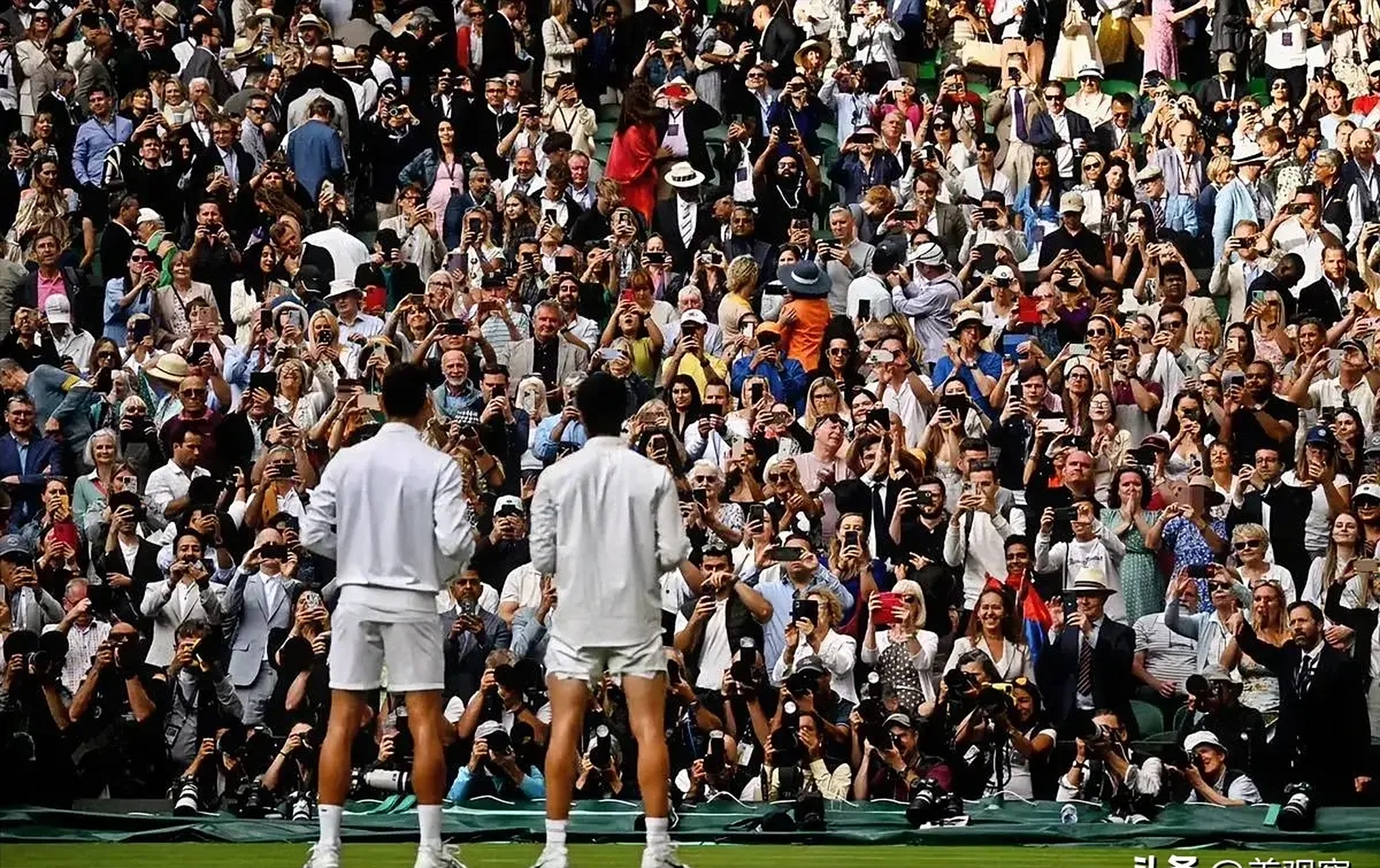 关于英国网球队横扫德国网球队，德约科维奇送出助攻的信息