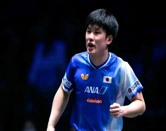 关于比利时乒乓球队强势波兰乒乓球队，张本智和统治全场的信息