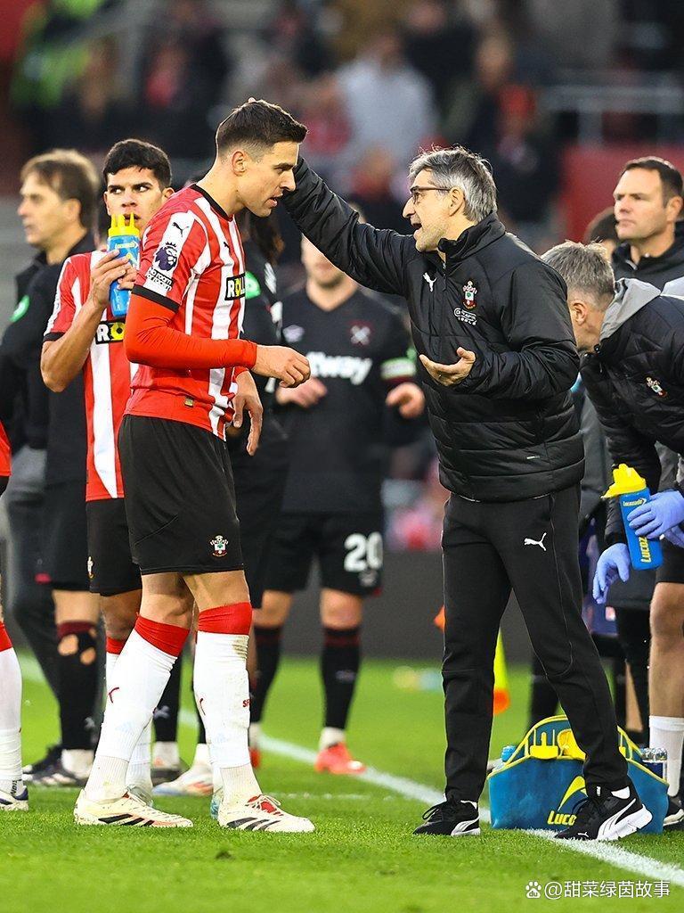 关于南安普顿全场压制,大胜对手稳定排名的信息 关于南安普顿全场压制,大胜对手稳定排名的信息