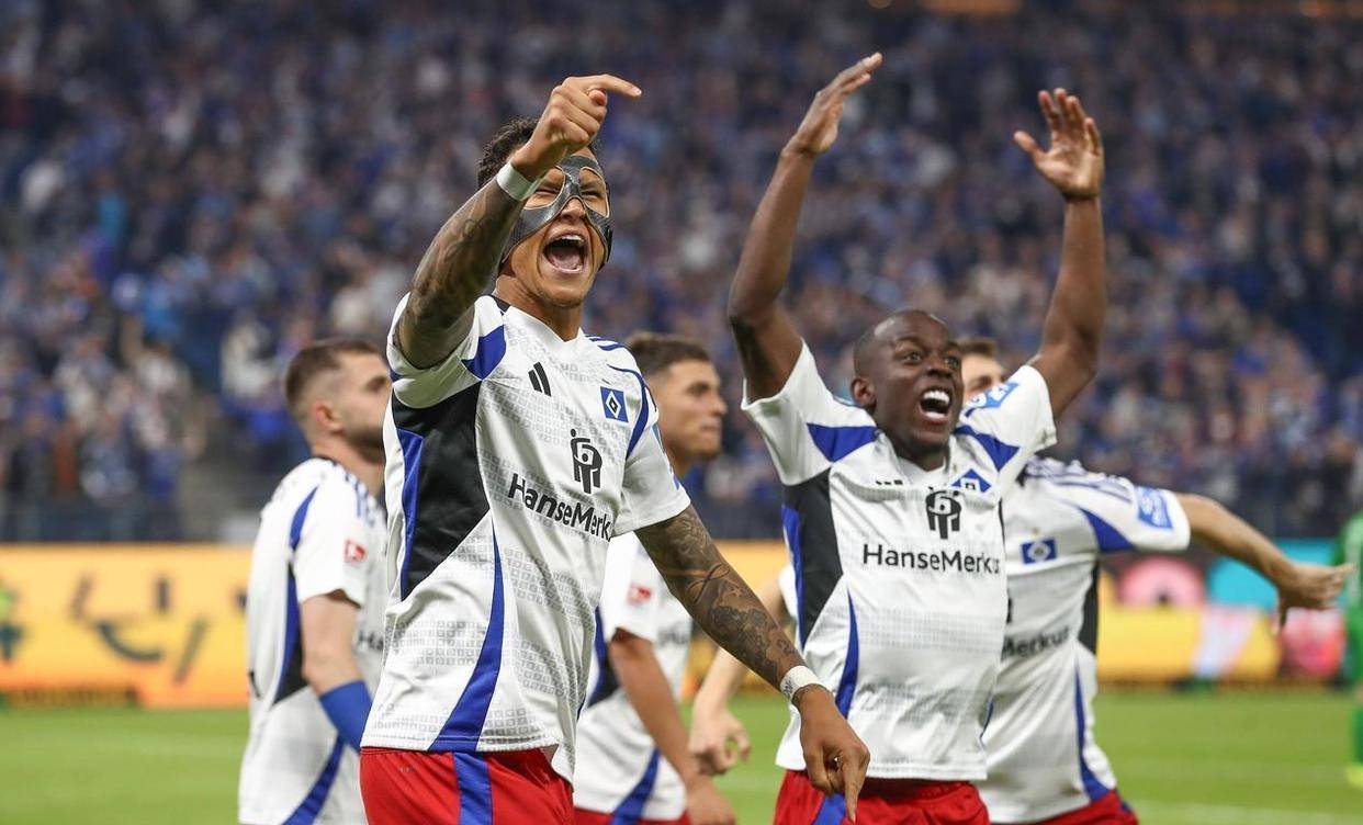 汉堡球迷维持抗议，俱乐部前途堪忧的简单介绍